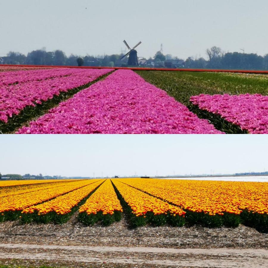 Bed & Breakfast Prins Hendrik Zuidschermer Eksteriør billede